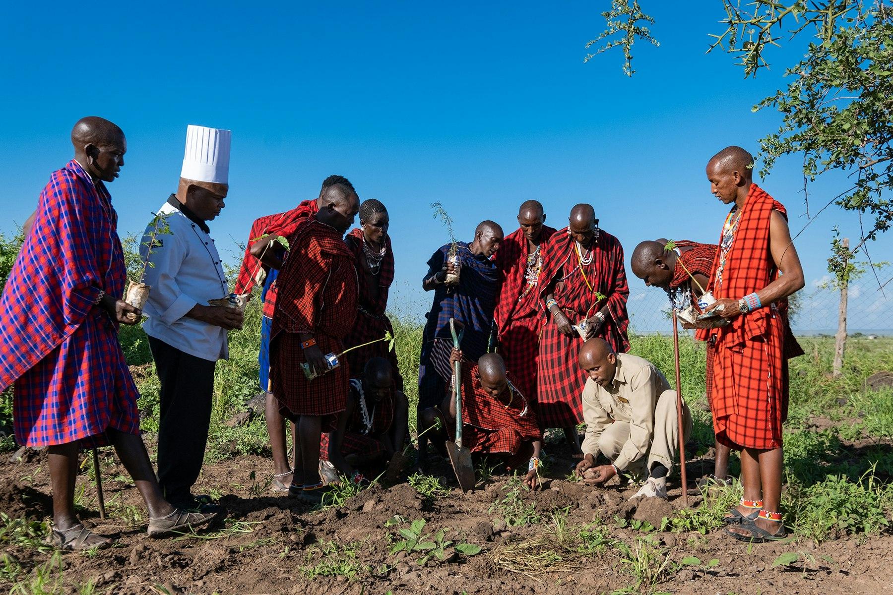 Maasai men attend horticultural training and plant seedlings near Amboseli Serena Safari Lodge, Kenya.