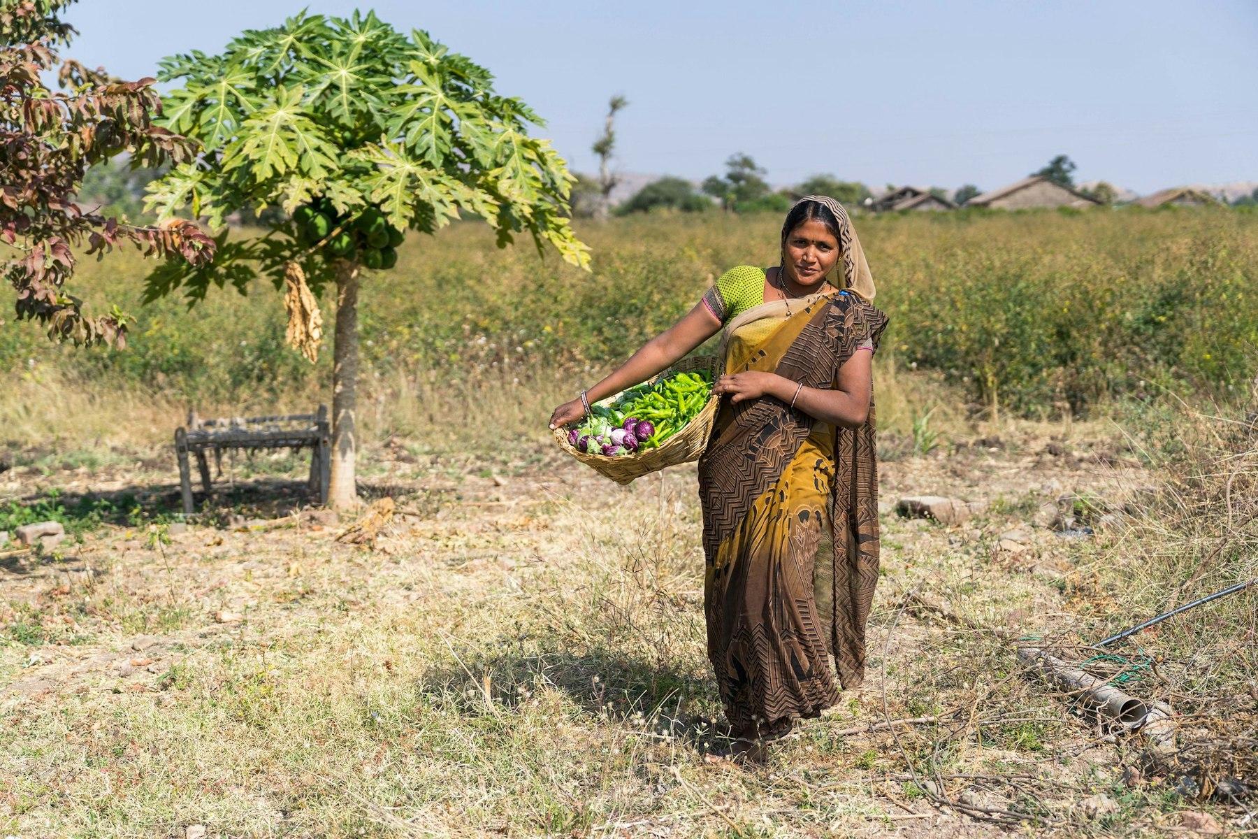 akf-india-vegetables.jpg