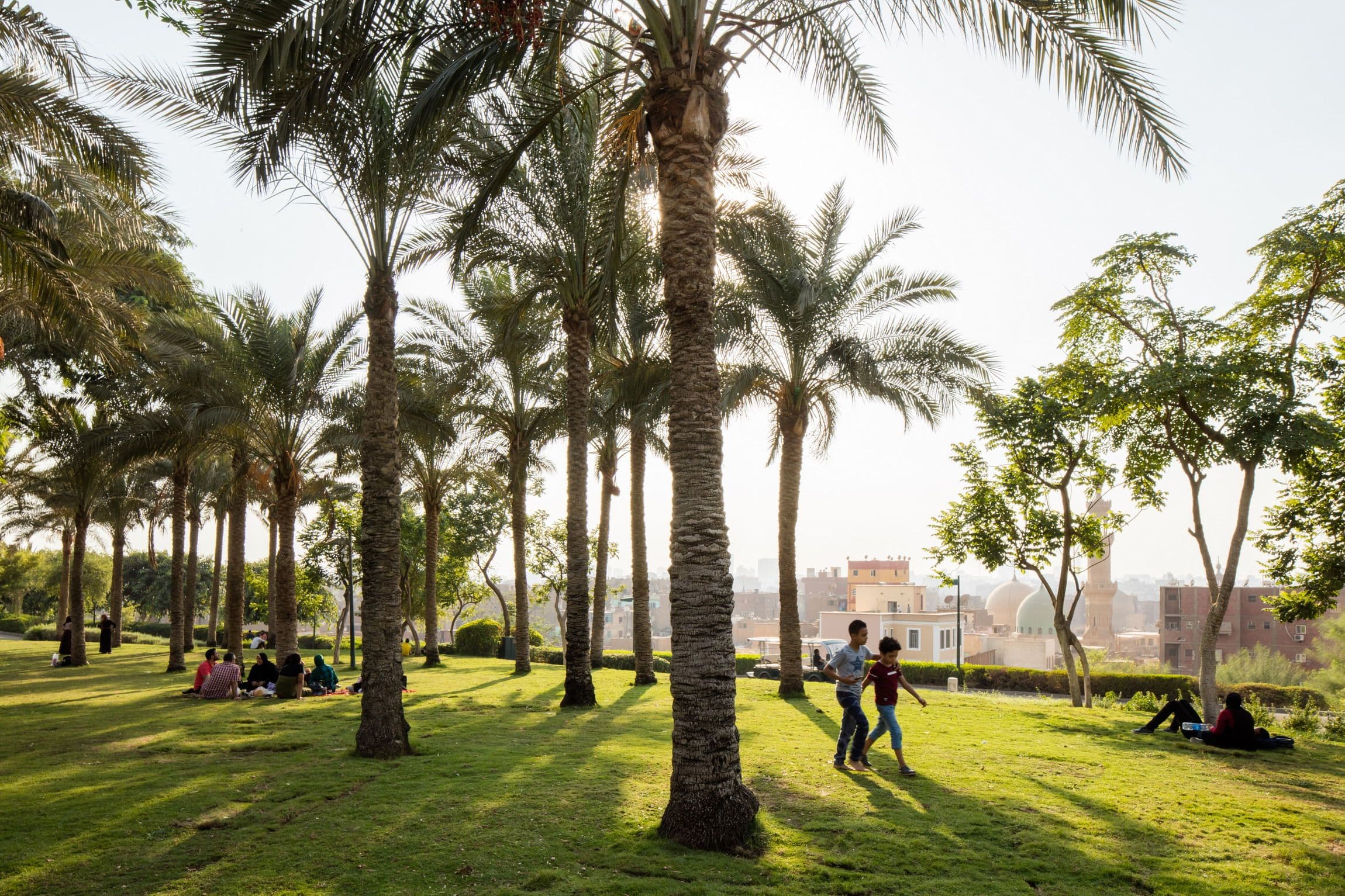 People sit, lie and walk amidst palm trees in Al-Azhar Park, Cairo.