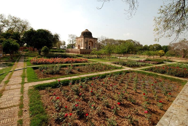 Plants and flowers grow in beds outside the Sunder Nursery.